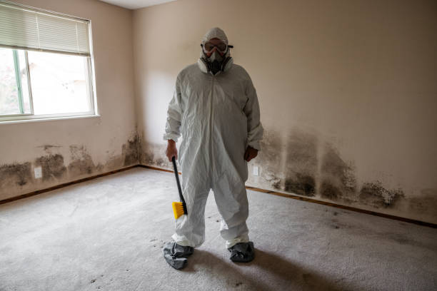 Best Residential Mold Removal  in Ottumwa, IA